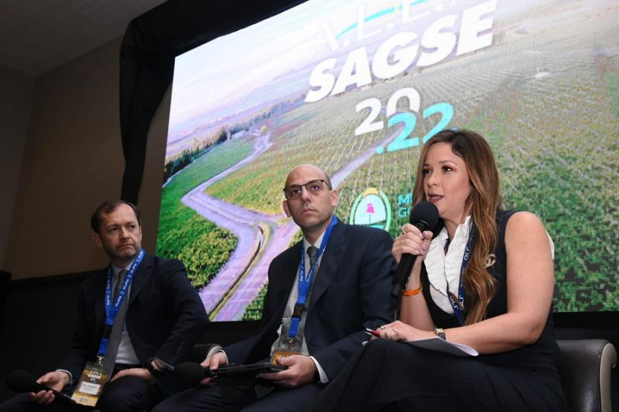 En Mendoza: desafíos y experiencias de juego online en Argentina