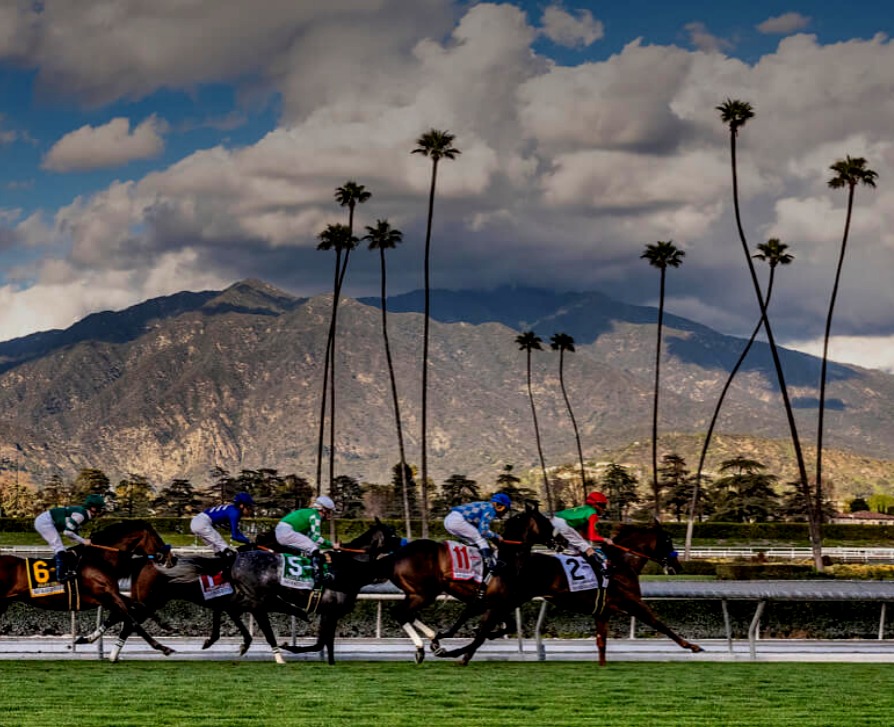 bet365 elige la plataforma 1/ST BET para lanzar su producto de carreras de caballos en EE. UU