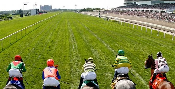 EXCLUSIVA Publicamos el Informe de la SEPI: El Hipódromo de la Zarzuela perdió 8 Millones de Euros en 2016