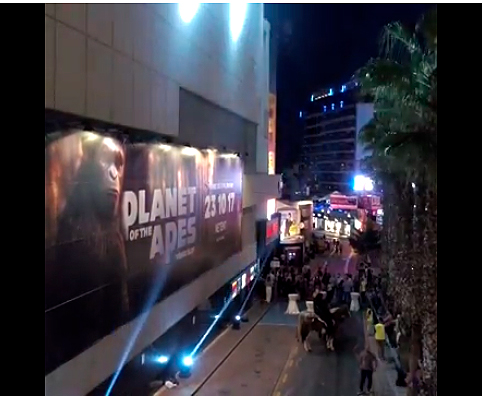 NetEnt realiza una gran presentación en Malta de su nueva slot, El Planeta de los Simios