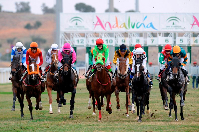 Los empresarios Roberto Cocheteux y Rafael Márquez Ojea desembolsan 2 Millones de Euros para hacerse con el control del Gran Hipódromo de Andalucía 