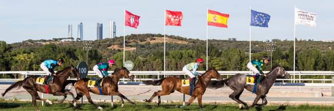El Estado destina otros 6 millones a rescatar el Hipódromo de la Zarzuela 
