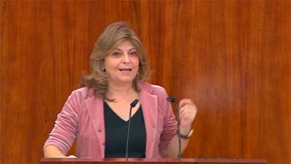 ACABA LA COMPARECENCIA EN LA ASAMBLEA DE MADRID: La Consejera Engracia Hidalgo respalda la gestión de Fernando Prats