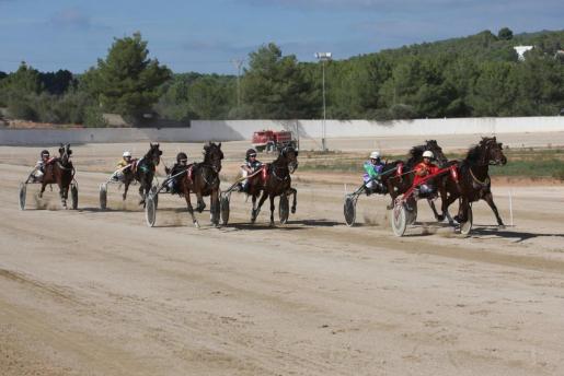 Baleares asegura que el reglamento de apuesta hípica se aprobará en 2019