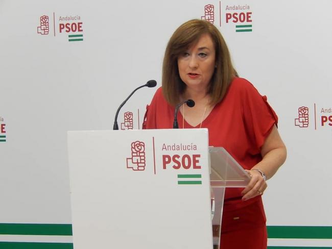 El PSOE-A desconoce que hay una Dirección de Juego en Andalucía y no distingue las competencias sobre juego online y presencial