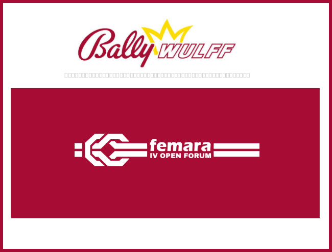 BALLY WULFF apoyó la cita sectorial FEMARA OPEN FORUM como patrocinador