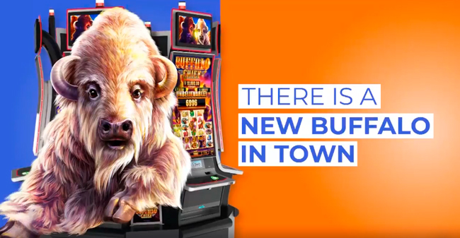 There's a new Buffalo in town: Buffalo Chief
