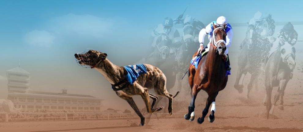 SISAL goes live with Vermantia’s global racing channel