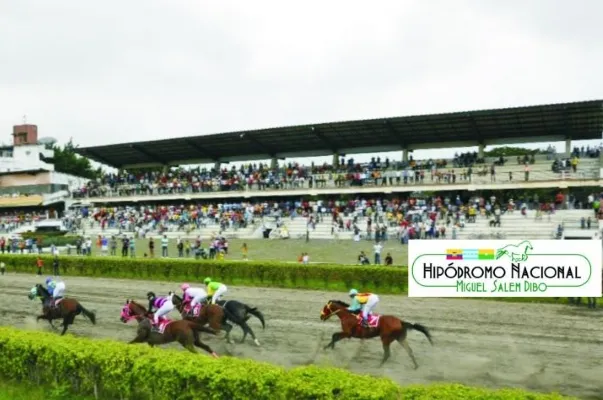 ECUADOR: Nuevo Decreto sobre funcionamiento del juego en los hipódromos