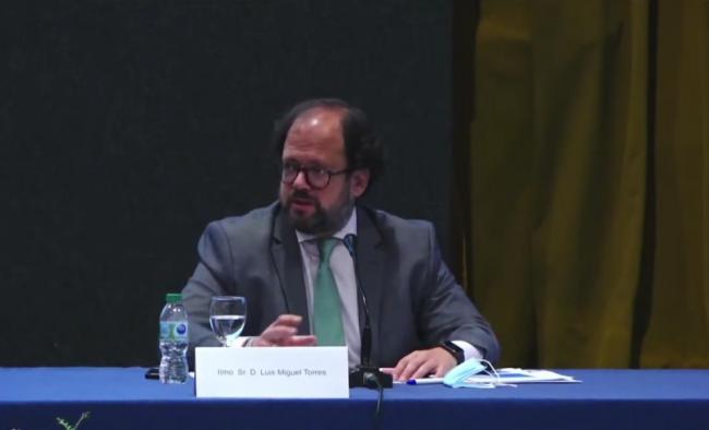   Luis Miguel Torres Hernández, Regulador de Madrid: 
