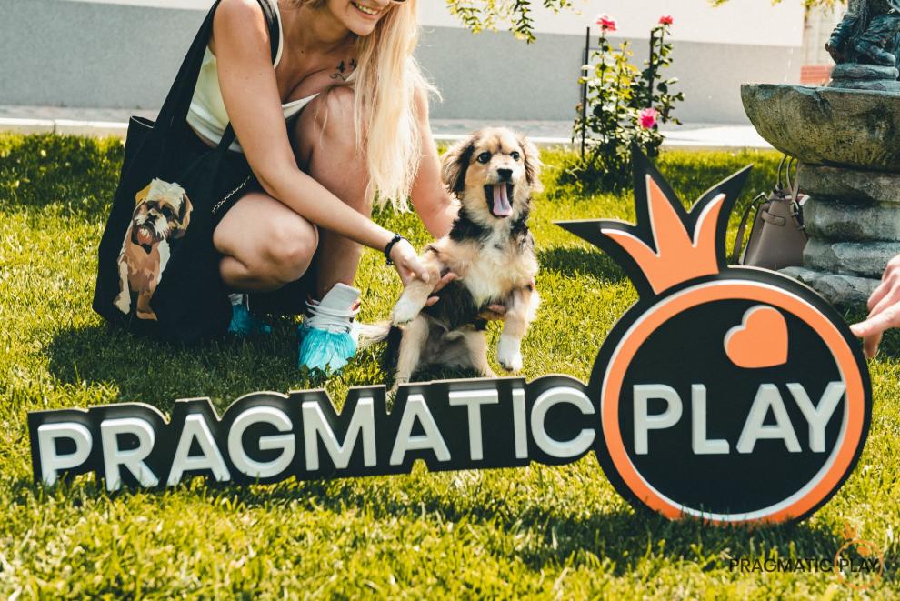 Pragmatic Play dona 7.000 EUROS al Hospital de Animales sin Hogar en Bucarest