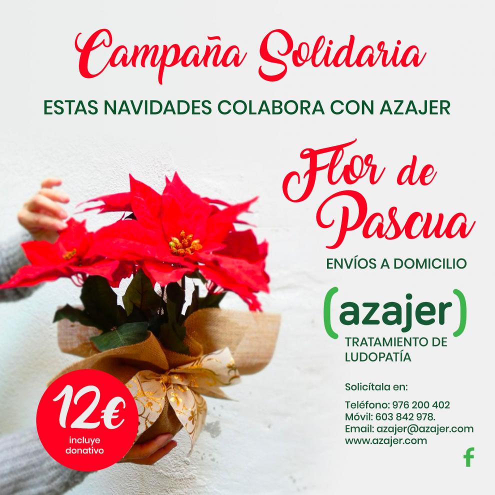 AZAJER pone en marcha una campaña de venta de Flores de Pascua porque "no vamos a vender lotería como es obvio"