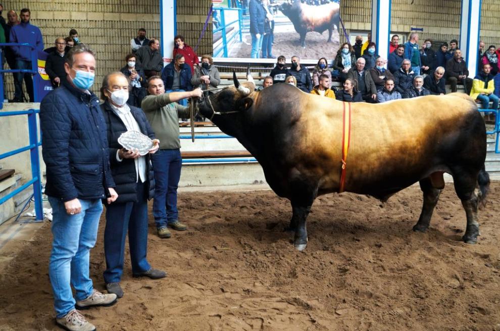 GRUPO DC: Preciosa y Bolero, Grandes Campeones en el Concurso Nacional de Cangas