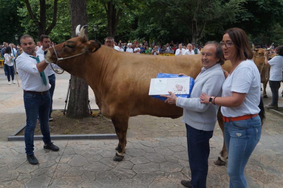 Los ejemplares de Inverpor (Grupo DC) triunfan en la feria ganadera de la Ascensión