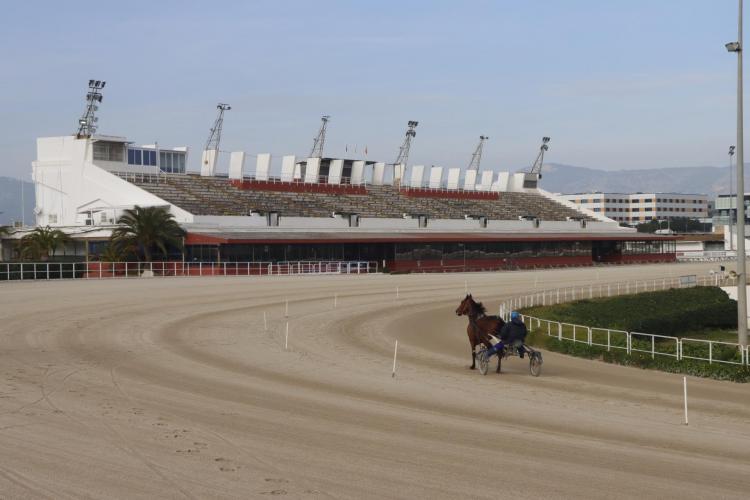 El Ministerio de Consumo multa con 150.000 euros al hipódromo de Son Pardo por incumplir la Ley de Juego