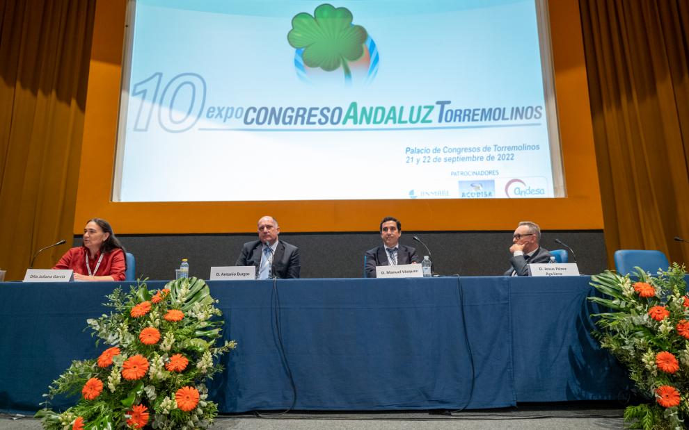 MANUEL VAZQUEZ, ANTONIO VALLEJO,Jesús Ignacio Pérez Aguilera, TORREMOLINOS