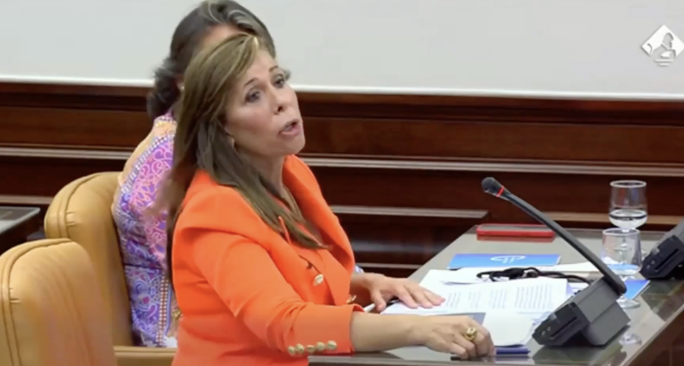 Momentos clave de la Comparecencia de Cristina García en la Comisión Mixta Congreso - Senado para el Estudio de los Problemas de Adicciones - II