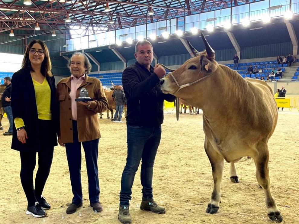 GRUPO DC, PREMIOS