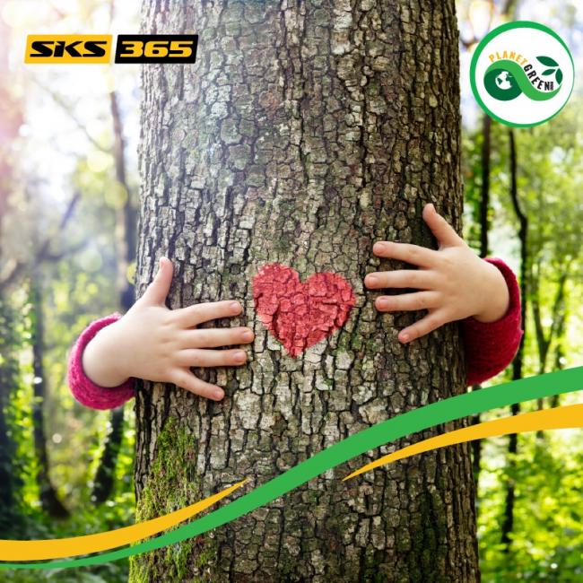 SKS365 lanza el Programa de Sostenibilidad PlanetGreen365: Mil Árboles para un Futuro Sostenible en Tres Continentes