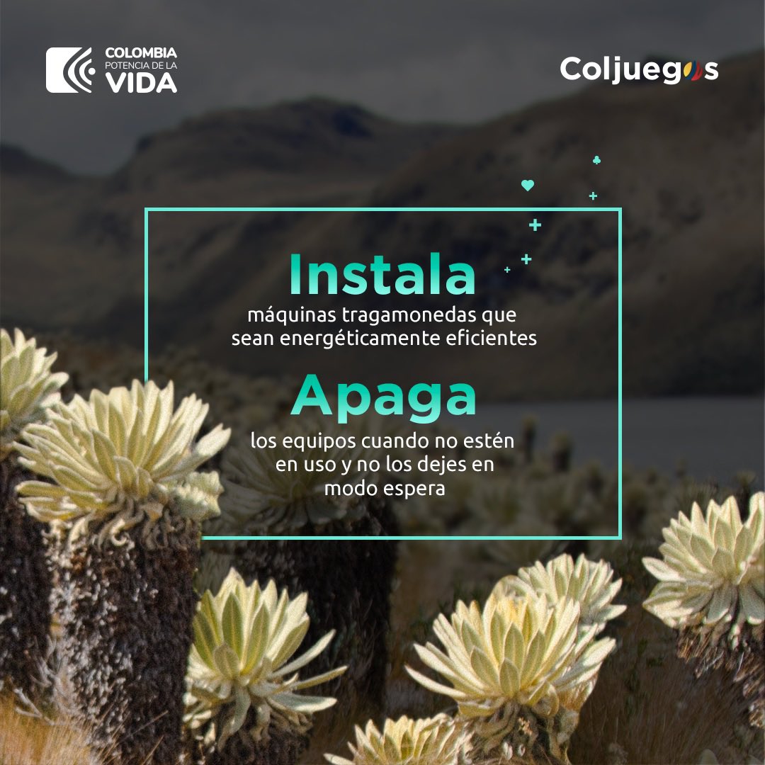 Coljuegos promueve la Conciencia Ambiental