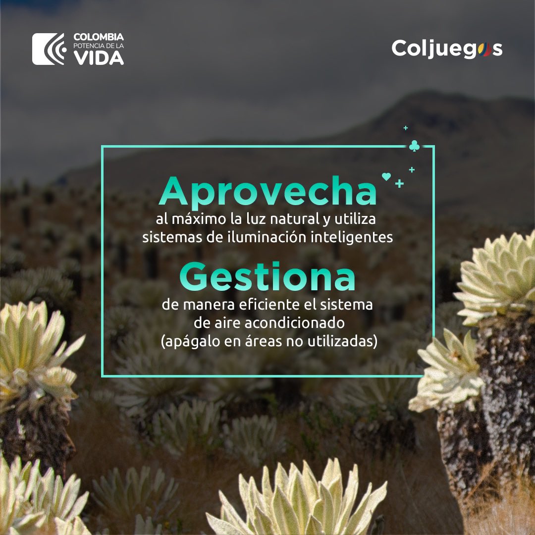 Coljuegos promueve la Conciencia Ambiental