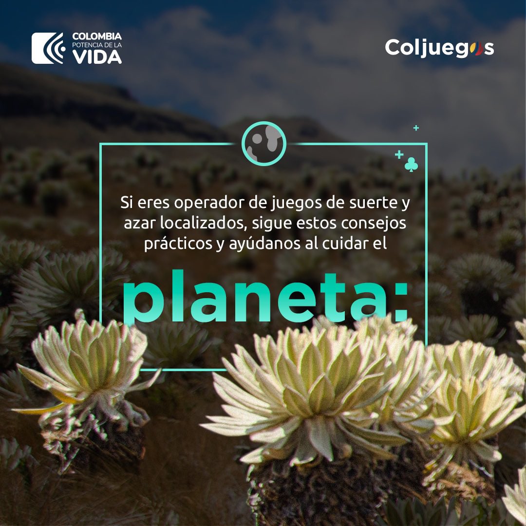 Coljuegos promueve la Conciencia Ambiental