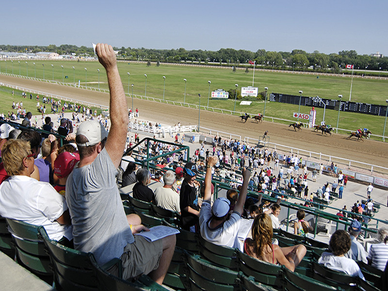 Assiniboia Downs, 1/ST CONTENT, long-term international distribution deal, Canadian racetrack, Winnipeg, Manitoba, season, live racing, Manitoba Derby, Western Canadian Derby Series, Gold Cup, Manitoba Matron, Winnipeg Futurity, premium content, internat