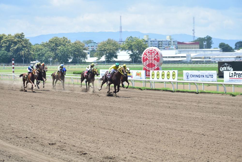 Codere acoge la 95ª Edición del Clásico Presidente de la República en el Hipódromo Presidente Remón de Panamá
FOTOS
