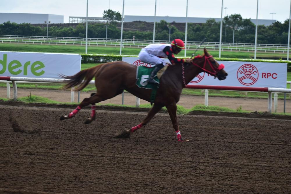 Codere acoge la 95ª Edición del Clásico Presidente de la República en el Hipódromo Presidente Remón de Panamá
FOTOS