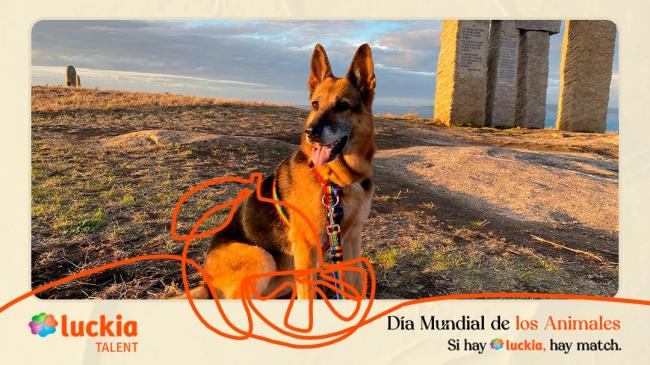 Luckia, Marca Cercana y Comprometida con el Bienestar Animal en el Día Mundial de los Animales