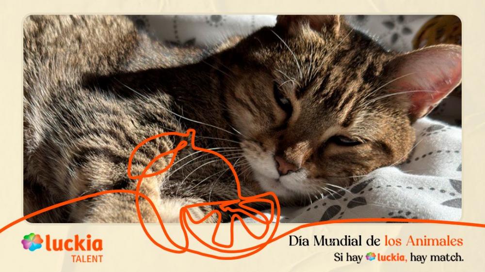 Luckia, una marca cercana y comprometida con el bienestar animal