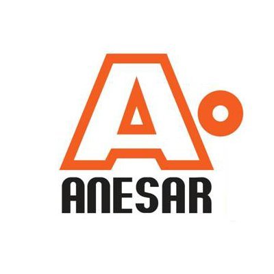 ANESAR crea el Comité de Innovación de Producto para fomentar la colaboración en el sector