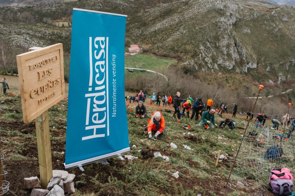 Herdicasa del Grupo DC se compromete con la reforestación en el Següencu 