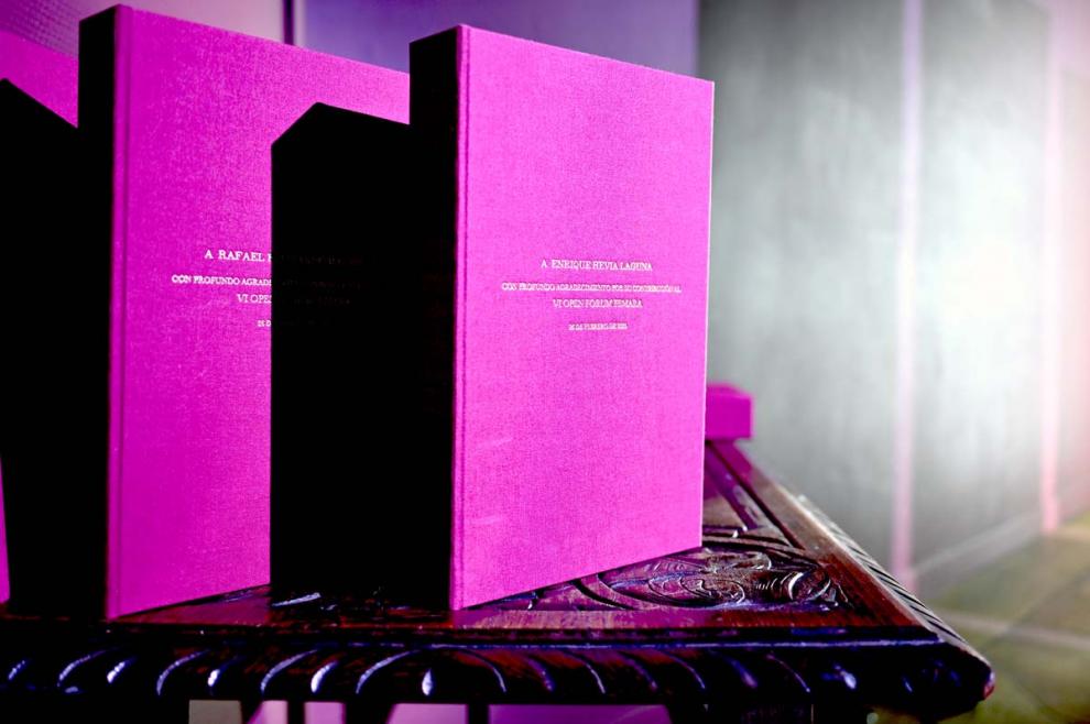 SEGUNDA GALERÍA DE FOTOS DEL VI OPEN FÓRUM FEMARA