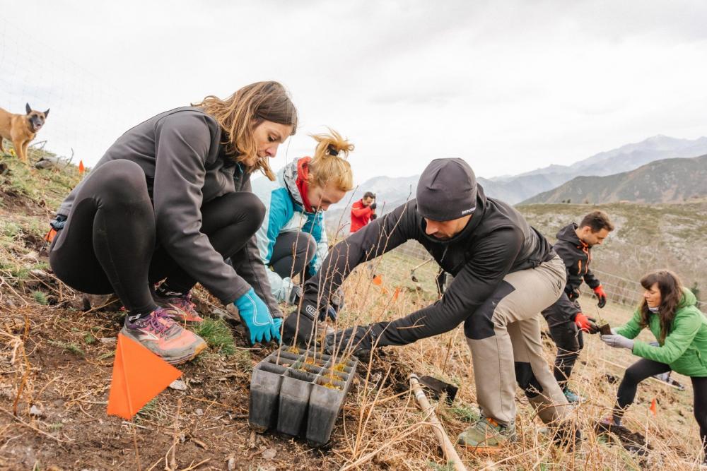 Herdicasa del Grupo DC se compromete con la reforestación en el Següencu 