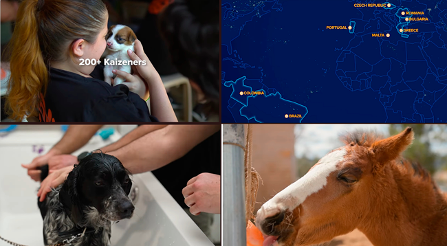 Kaizen Gaming (Betano) activates over 200 volunteers across 8 countries to improve animal welfare