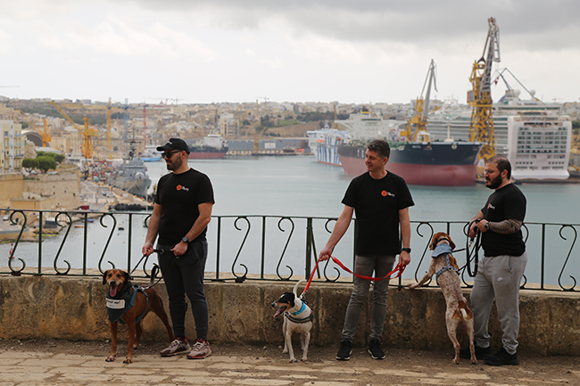 Kaizen Gaming (Betano) activates over 200 volunteers across 8 countries to improve animal welfare