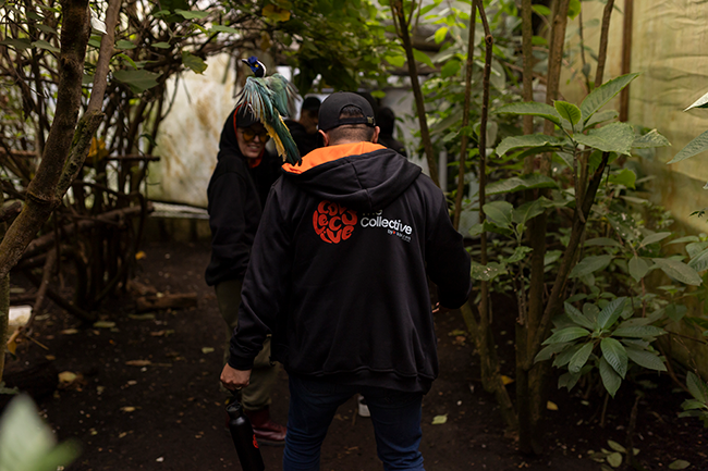 Kaizen Gaming (Betano) activates over 200 volunteers across 8 countries to improve animal welfare