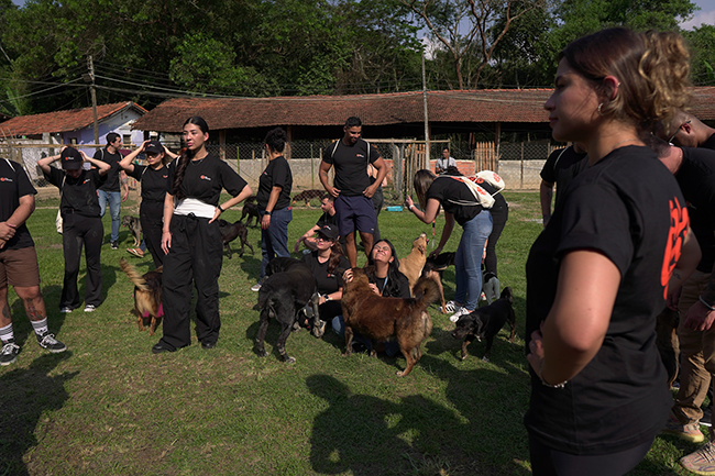 Kaizen Gaming (Betano) activates over 200 volunteers across 8 countries to improve animal welfare