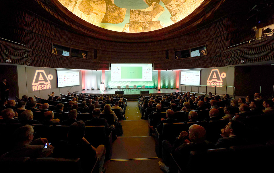 Los asistentes al 12º Congreso de ANESAR destacan su excelencia 