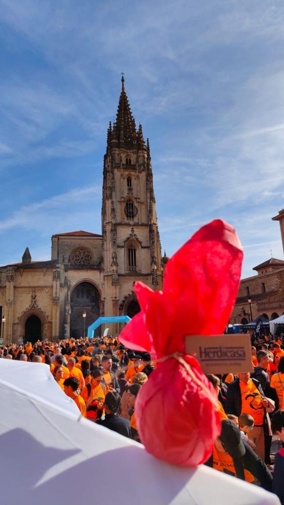 Grupo Díaz Carbajosa reafirma su valor social en la histórica marea naranja de la Asociación Galbán