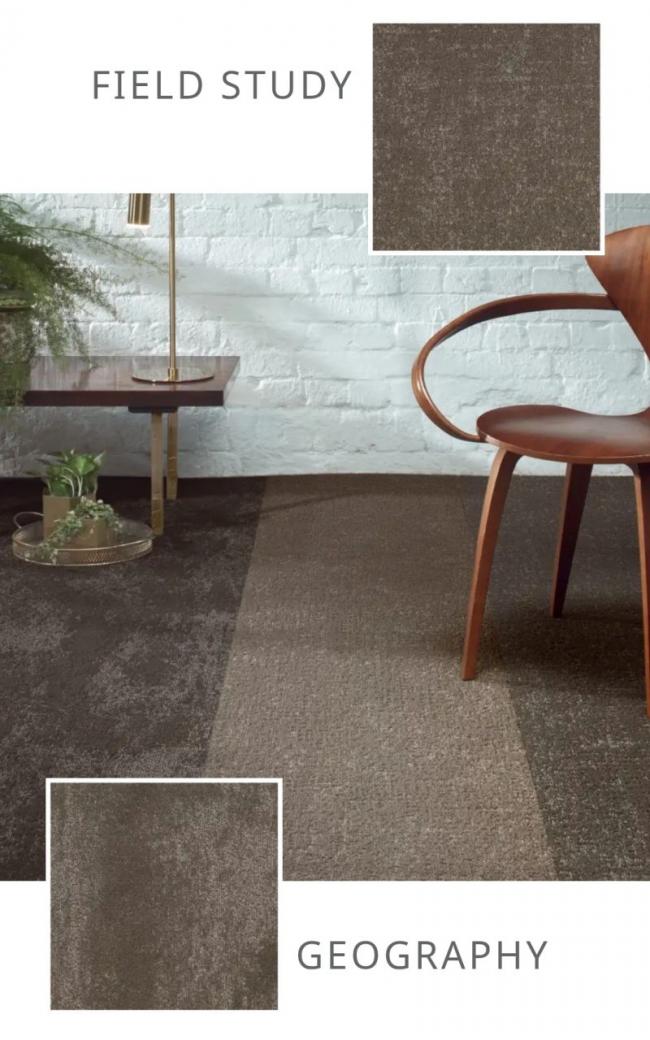 EXCLUSIVA | Casino Carpets convierte el suelo en negocio para casinos, bingos y salones