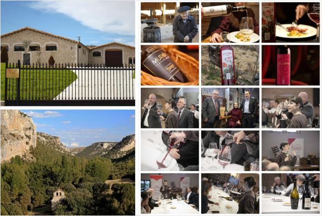 Les proponemos un planazo de Semana Santa con los vinos y experiencias de Bodega Severino Sanz