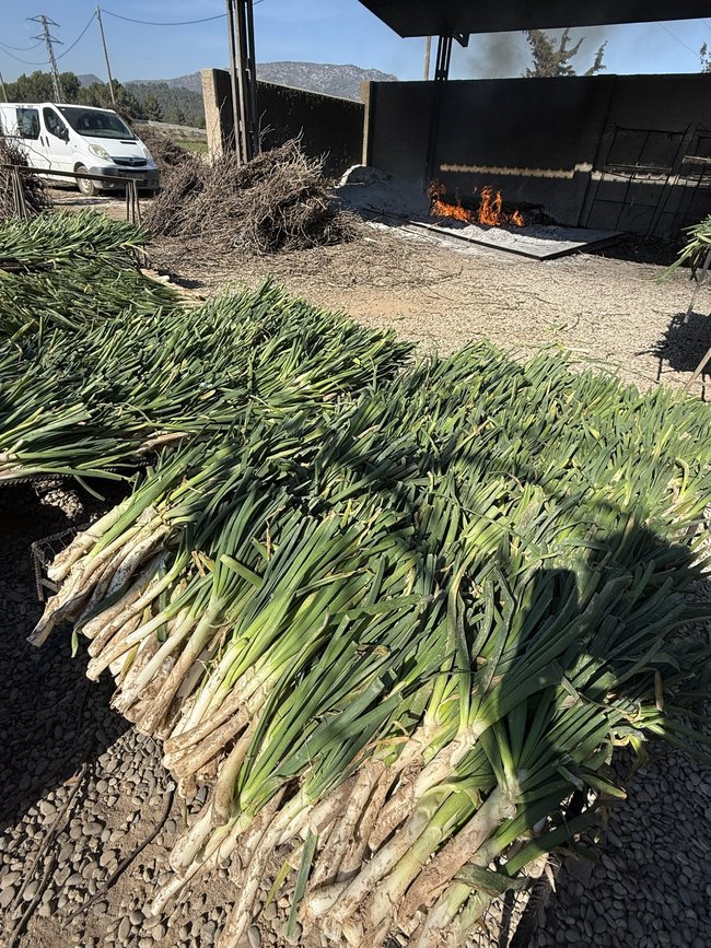 ACORDJOC celebra su Asamblea General 2026 y calçotada con aforo histórico