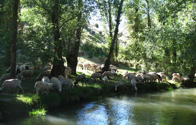 Planazo de Semana Santa en Segovia: Les proponemos descubrir los vinos de José Félix Sanz en su segoviana Bodega Severino Sanz