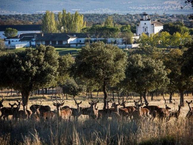 Manuel Lao impulsa un aeródromo privado en su finca El Molinillo